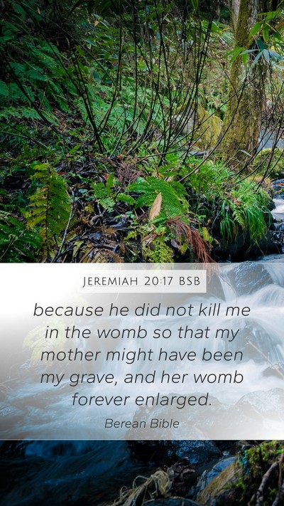 Jeremiah 20:17 BSB Bible Verse Image