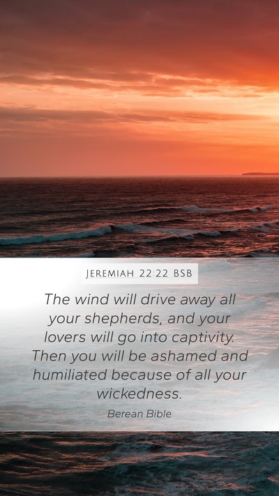 Jeremiah 22:22 BSB Bible Verse Image