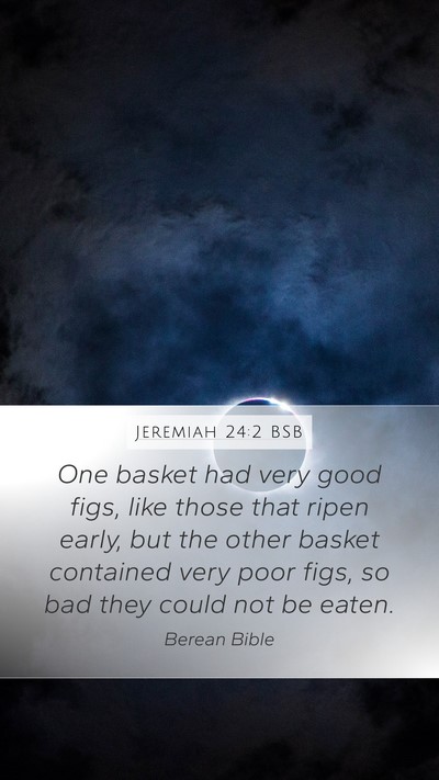 Jeremiah 24:2 BSB Bible Verse Image