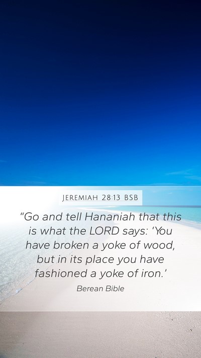 Jeremiah 28:13 BSB Bible Verse Image