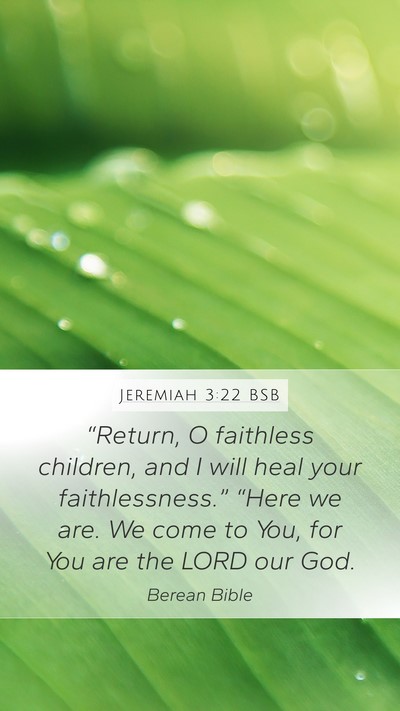 Jeremiah 3:22 BSB Bible Verse Image