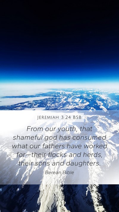 Jeremiah 3:24 BSB Bible Verse Image