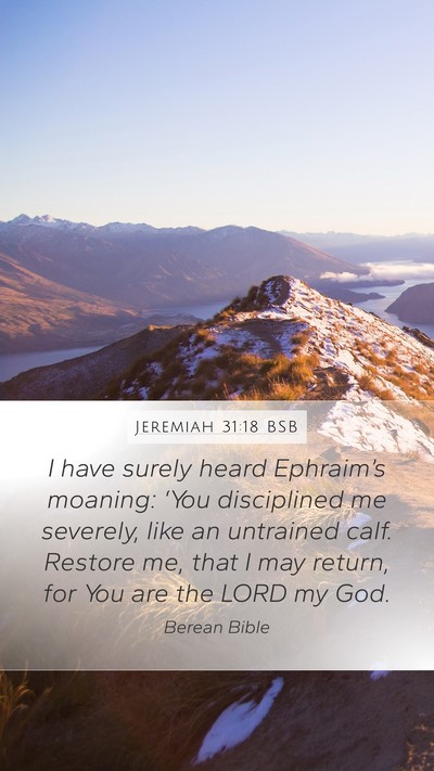 Jeremiah 31:18 BSB Bible Verse Image