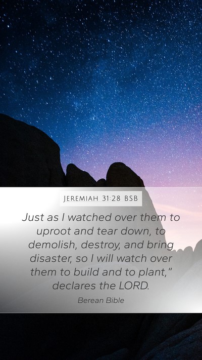 Jeremiah 31:28 BSB Bible Verse Image