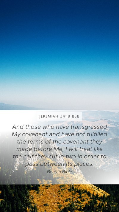 Jeremiah 34:18 BSB Bible Verse Image