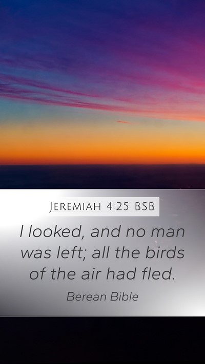 Jeremiah 4:25 BSB Bible Verse Image