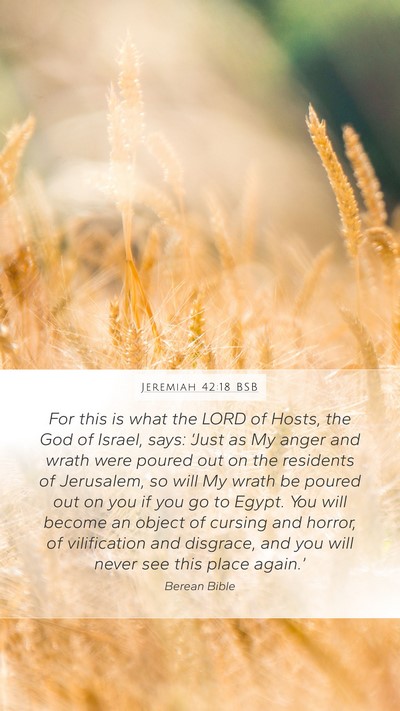Jeremiah 42:18 BSB Bible Verse Image