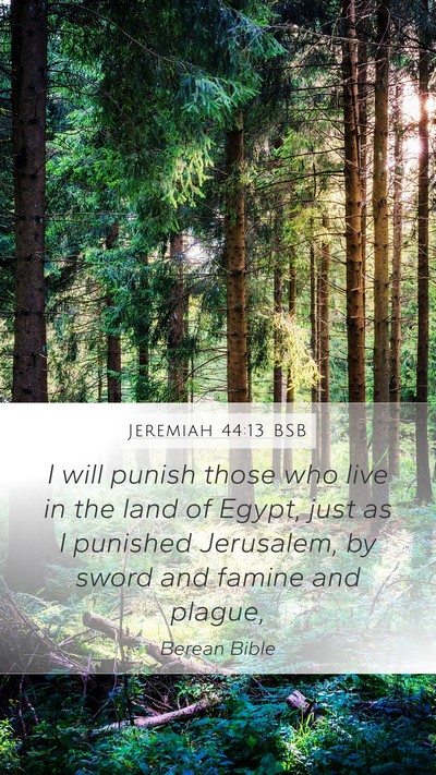 Jeremiah 44:13 BSB Bible Verse Image