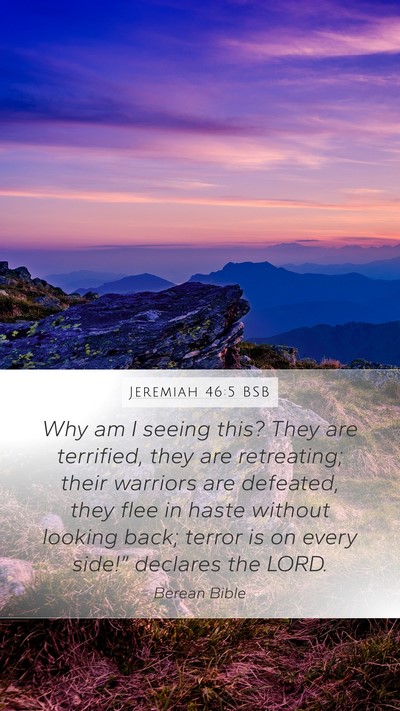 Jeremiah 46:5 BSB Bible Verse Image