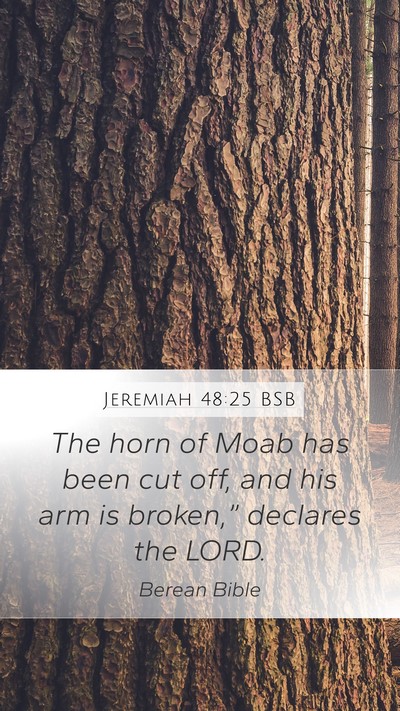 Jeremiah 48:25 BSB Bible Verse Image