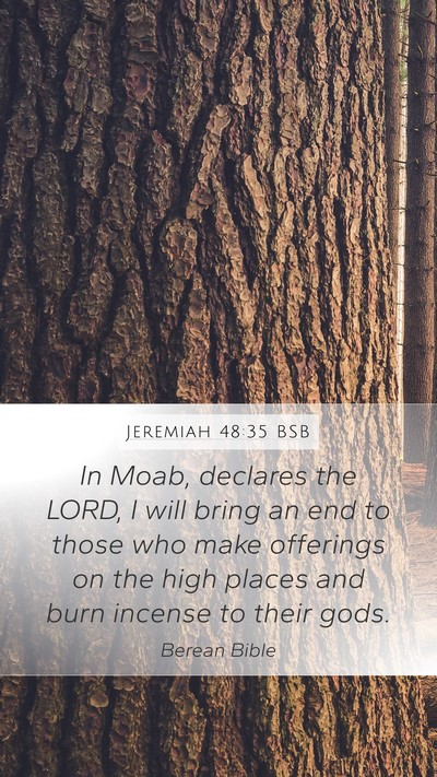 Jeremiah 48:35 BSB Bible Verse Image