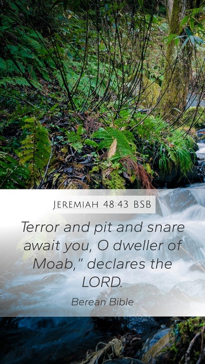 Jeremiah 48:43 BSB Bible Verse Image