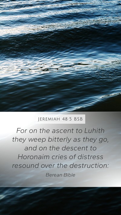 Jeremiah 48:5 BSB Bible Verse Image