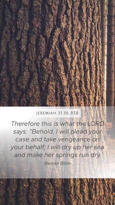 Jeremiah 51:36 BSB Bible Verse Image