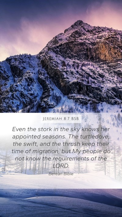 Jeremiah 8:7 BSB Bible Verse Image