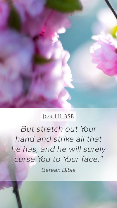 Job 1:11 BSB Bible Verse Image