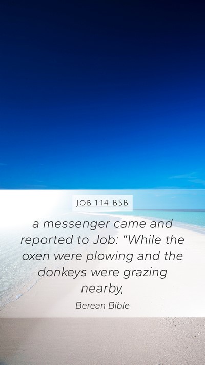 Job 1:14 BSB Bible Verse Image