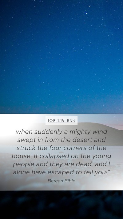 Job 1:19 BSB Bible Verse Image