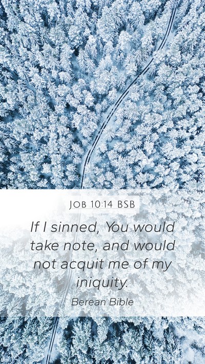 Job 10:14 BSB Bible Verse Image