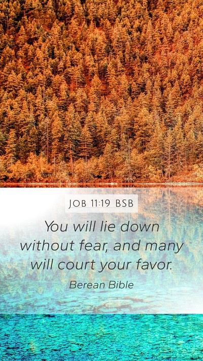 Job 11:19 BSB Bible Verse Image