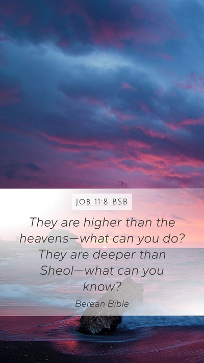 Job 11:8 BSB Bible Verse Image