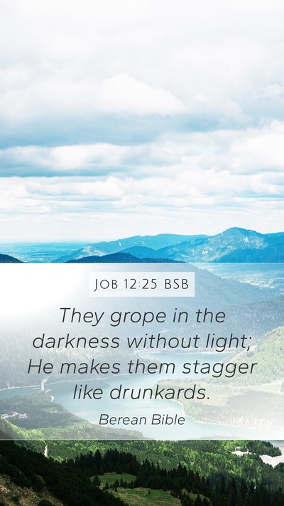 Job 12:25 BSB Bible Verse Image