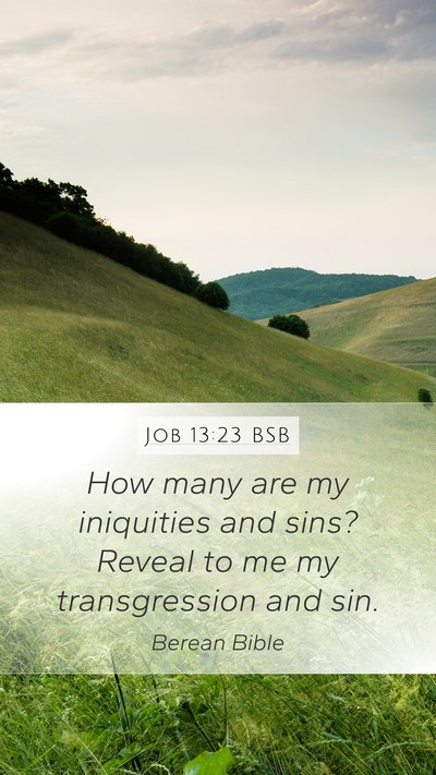Job 13:23 BSB Bible Verse Image