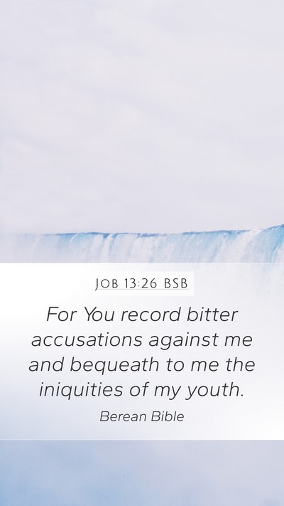 Job 13:26 BSB Bible Verse Image