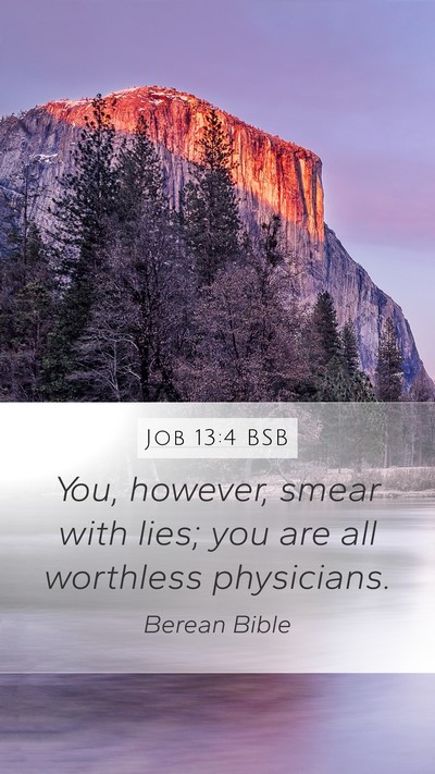 Job 13:4 BSB Bible Verse Image
