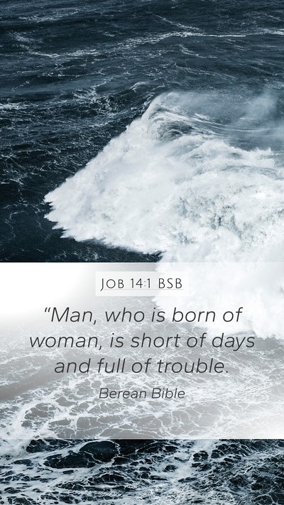 Job 14:1 BSB Bible Verse Image