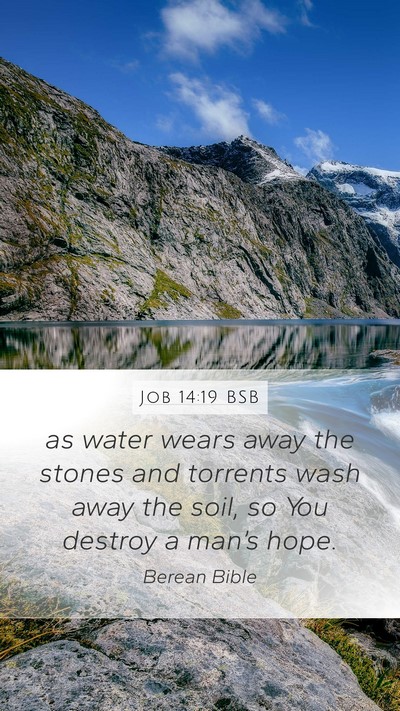 Job 14:19 BSB Bible Verse Image