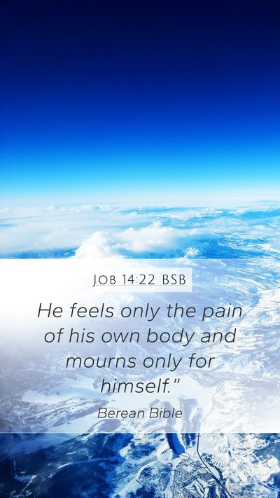 Job 14:22 BSB Mobile Phone Wallpaper - He feels only the pain of his own body and mourns - Mobile Bible Verse Wallpaper