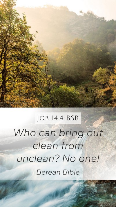Job 14:4 BSB Bible Verse Image