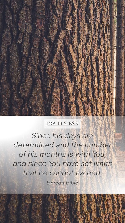 Job 14:5 BSB Bible Verse Image