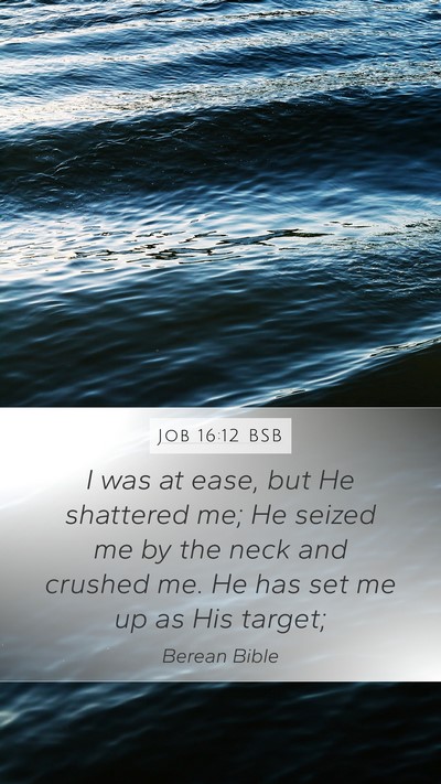 Job 16:12 BSB Bible Verse Image
