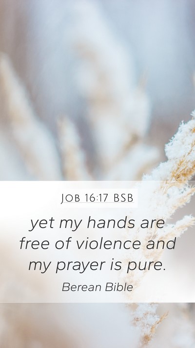 Job 16:17 BSB Bible Verse Image