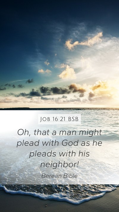 Job 16:21 BSB Bible Verse Image