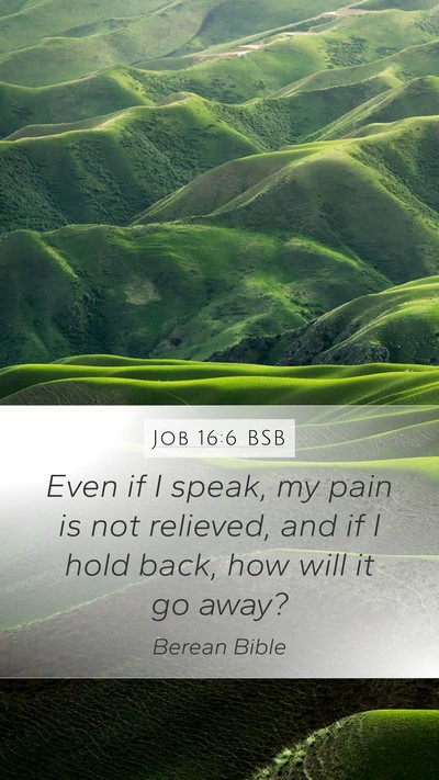 Job 16:6 BSB Bible Verse Image