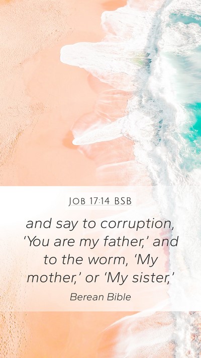 Job 17:14 BSB Bible Verse Image