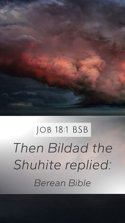 Job 18:1 BSB Mobile Phone Wallpaper - Then Bildad the Shuhite - Mobile Bible Verse Wallpaper