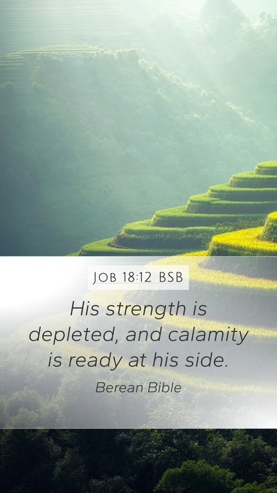 Job 18:12 BSB Bible Verse Image