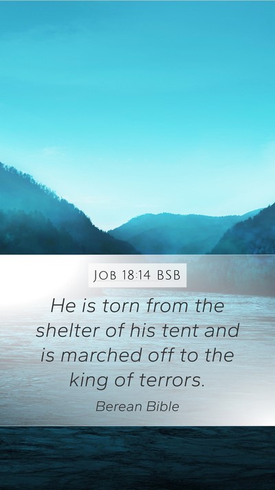 Job 18:14 BSB Bible Verse Image