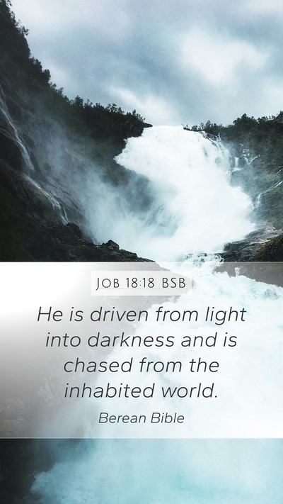 Job 18:18 BSB Bible Verse Image
