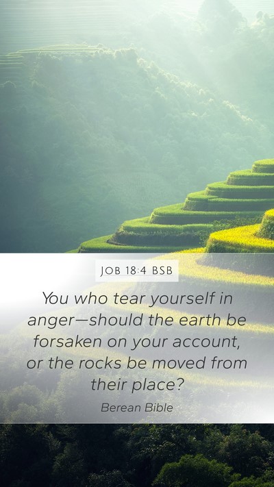 Job 18:4 BSB Bible Verse Image