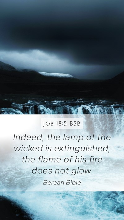 Job 18:5 BSB Bible Verse Image