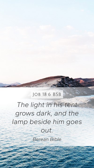 Job 18:6 BSB Bible Verse Image