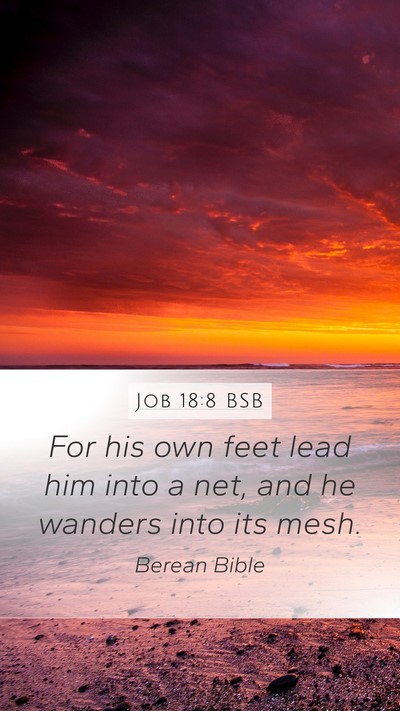 Job 18:8 BSB Bible Verse Image
