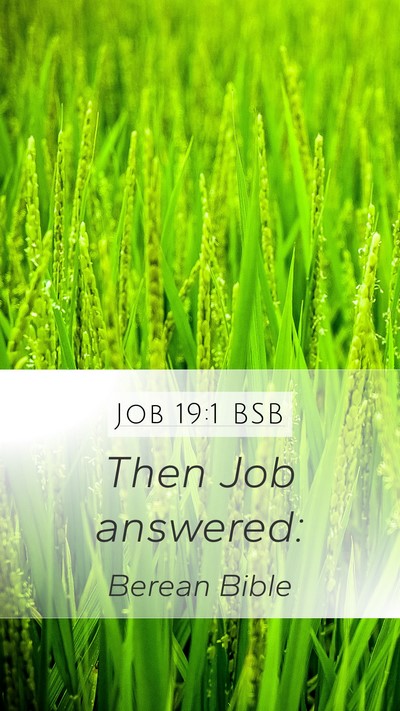 Job 19:1 BSB Mobile Phone Wallpaper - Then Job - Mobile Bible Verse Wallpaper