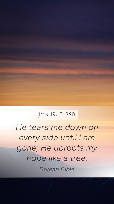 Job 19:10 BSB Bible Verse Image