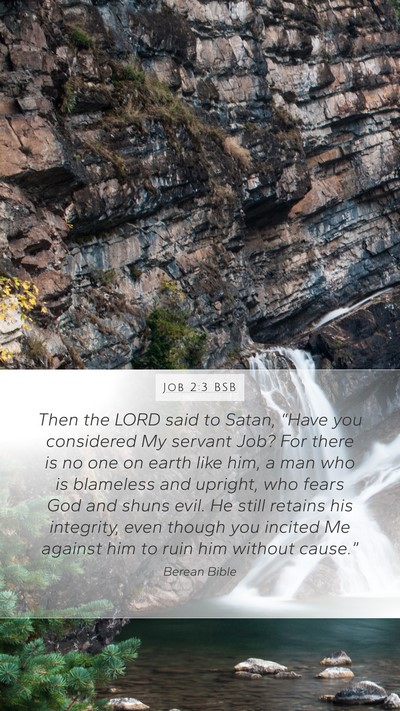 Job 2:3 BSB Bible Verse Image